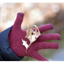 Guantes lindos del teléfono elegante Guante termal caliente del apretón termal del invierno Guante